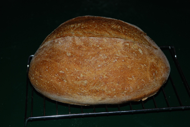 Day 3 Multigrain Batard The Fresh Loaf